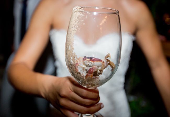 The Most Beautiful Trash The Dress Photos We’ve Ever Seen