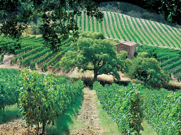 One Couple’s Honeymoon in Italy