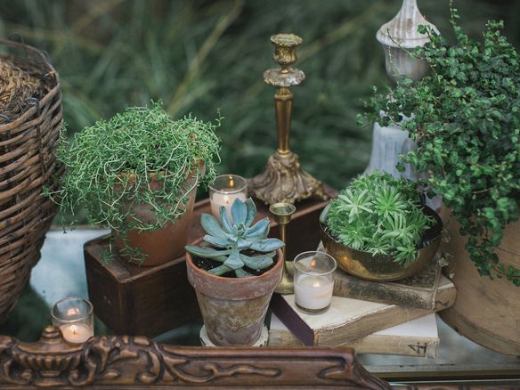 11 Stylish Ways to Use Succulents in Your Wedding