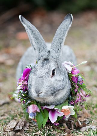 16 Wedding Details That Involve Bunnies