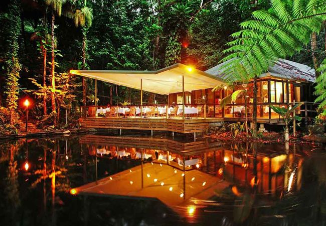 5 Dream Tree House Honeymoons