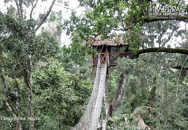 5 Dream Tree House Honeymoons
