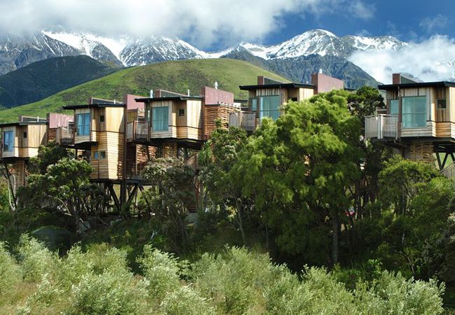 5 Dream Tree House Honeymoons
