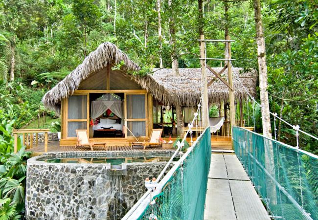 5 Dream Tree House Honeymoons