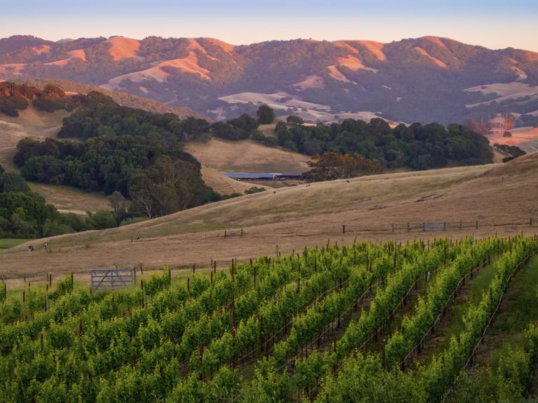 50 Best Places to Honeymoon
