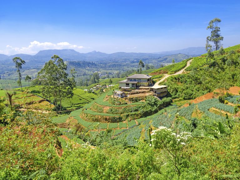 50 Best Places to Honeymoon
