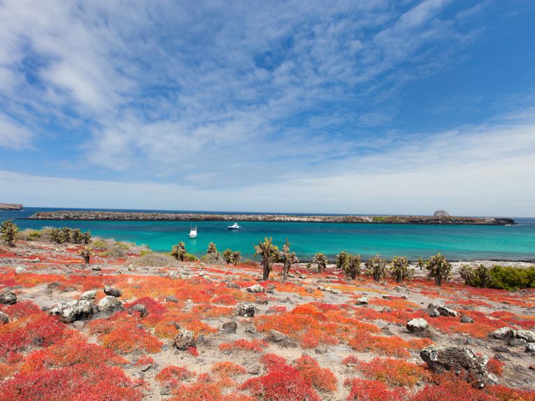 50 Best Places to Honeymoon