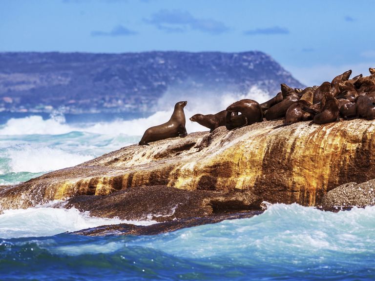 50 Best Places to Honeymoon