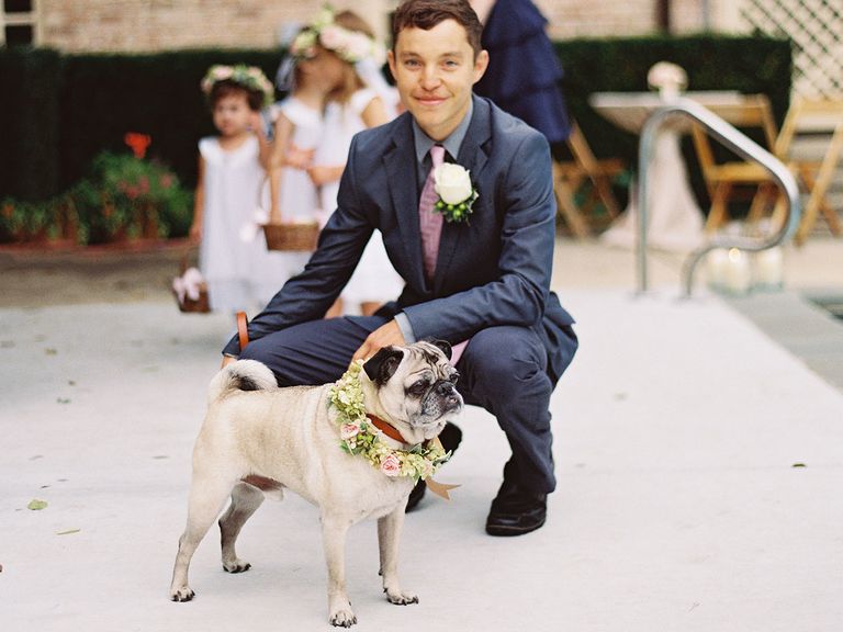 The 11 Cutest Pups With Flower Crown Collars We’ve Ever Seen