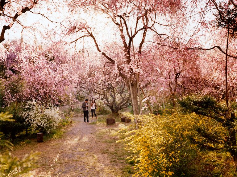 9 Honeymoon Budget Tips (for When You're Already Saving for the Wedding)