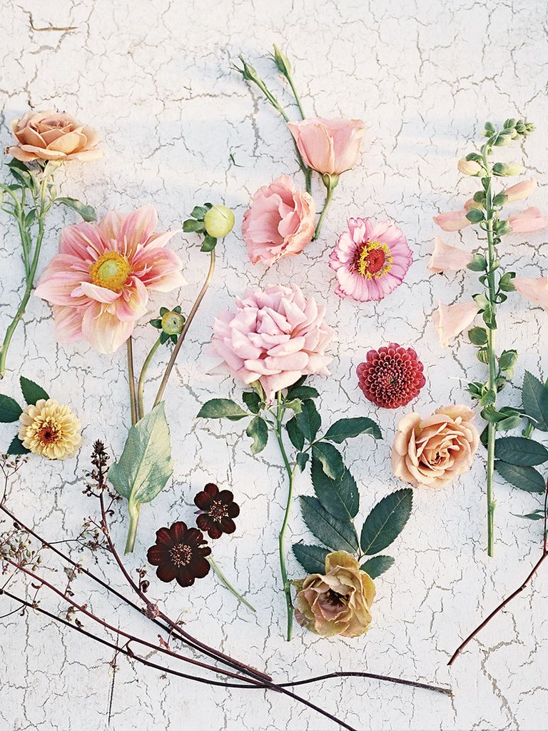 A Guide to the Best Wedding Flowers in Each Season