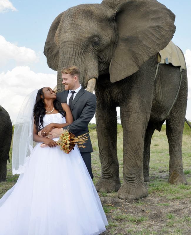 An Elephant Entrance (And More!) At This Wedding In Zimbabwe
