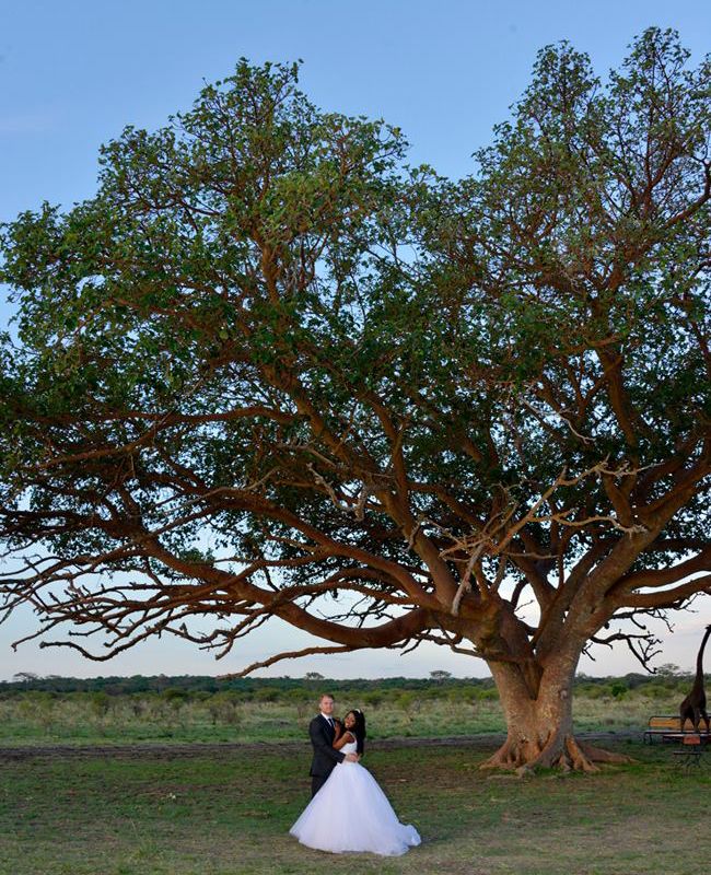 An Elephant Entrance (And More!) At This Wedding In Zimbabwe