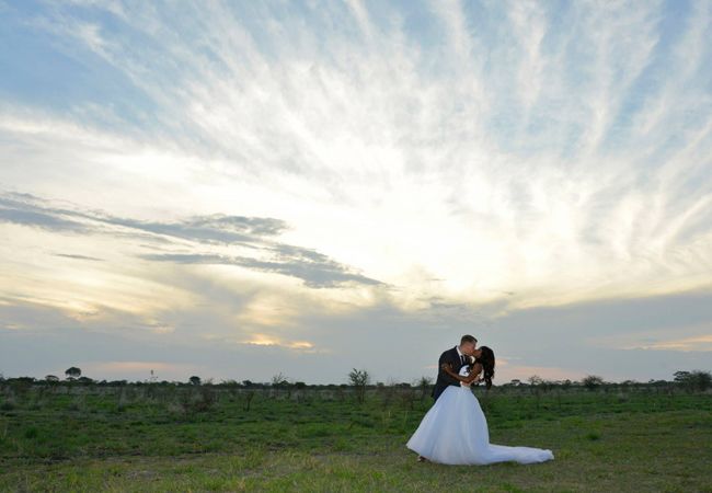 An Elephant Entrance (And More!) At This Wedding In Zimbabwe