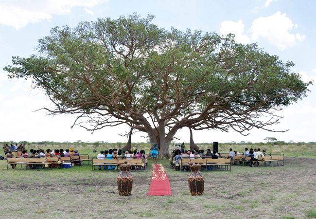An Elephant Entrance (And More!) At This Wedding In Zimbabwe
