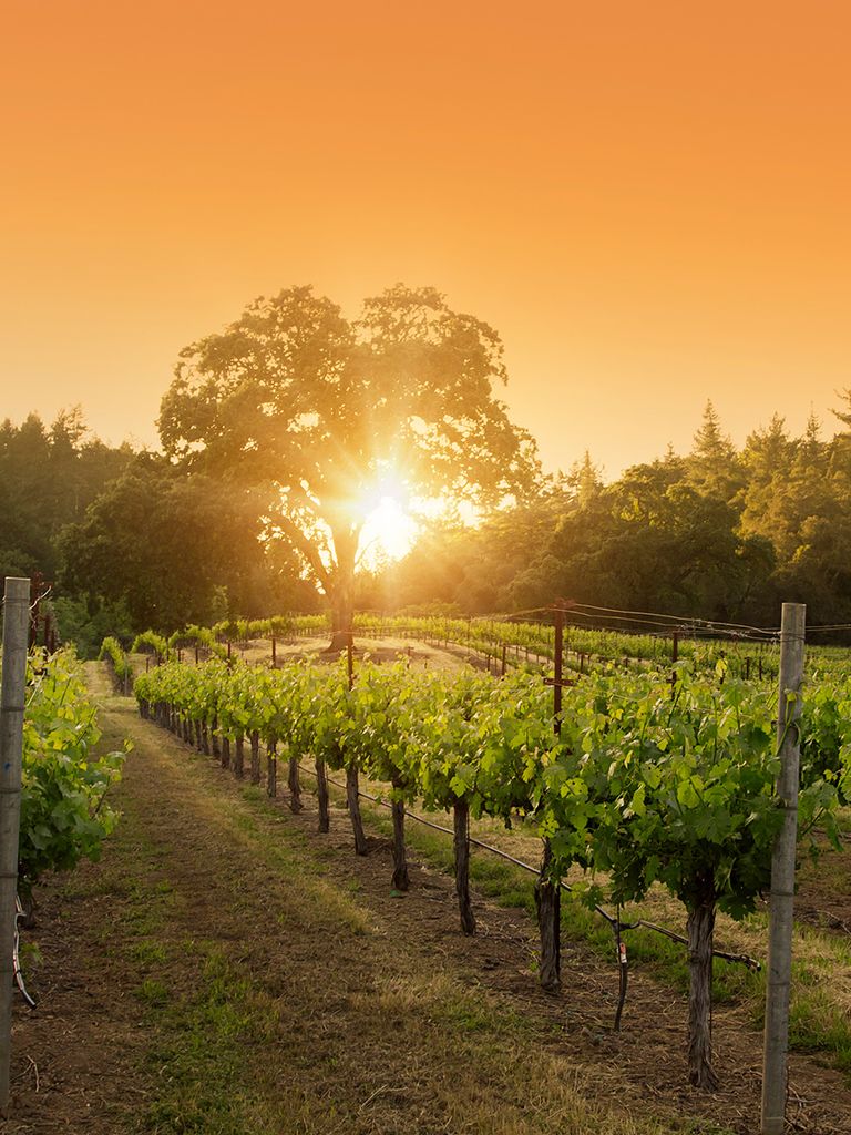 Best United States Destination Wedding Spots