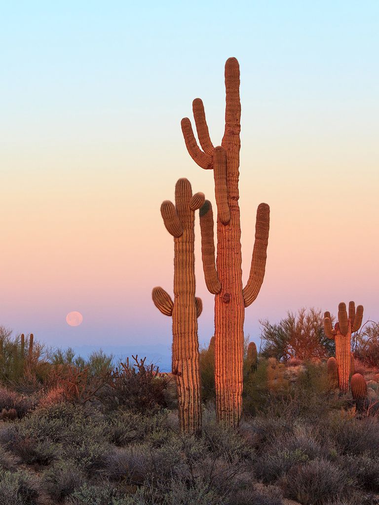 Best United States Destination Wedding Spots