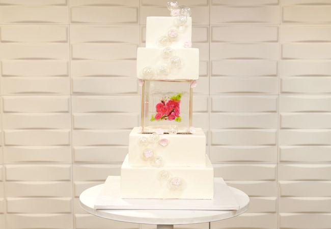 Choose The Cake for The Knot Dream Wedding!