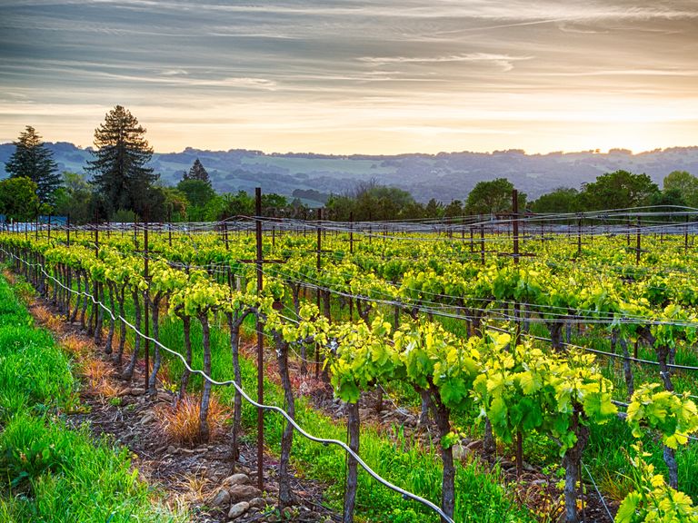 Gay-Friendly Honeymoon Destinations