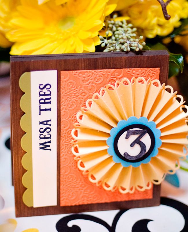Get Your Fiesta on With This Cinco de Mayo Wedding!