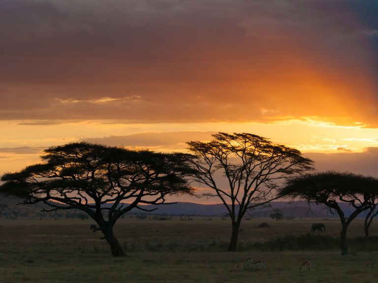 Honeymoon Spots by Sunset
