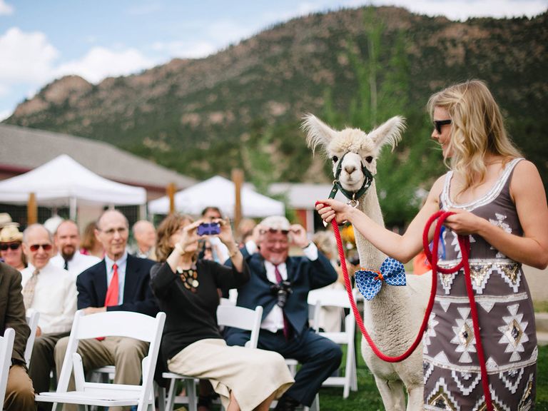 Hot Wedding Trends for 2017