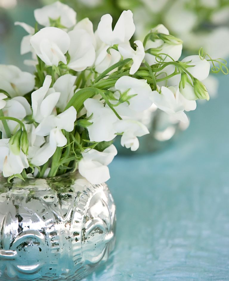 Our Official Guide to the Symbolic Meanings of Wedding Flowers