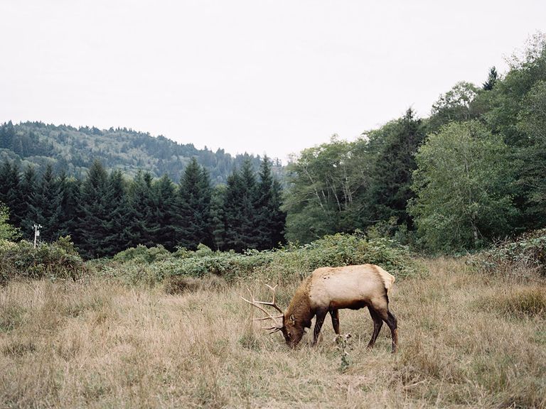 Real Honeymoons: West Coast