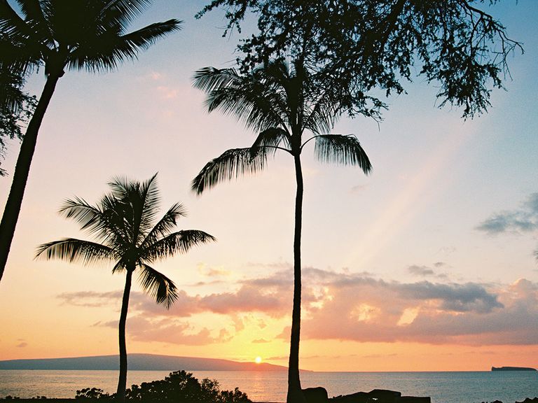 Sneak Peek: An Intimate, Tropical Wedding at Sugarman Estate in Maui, Hawaii