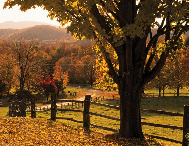 The 50 Best New Honeymoon Spots for 2013!