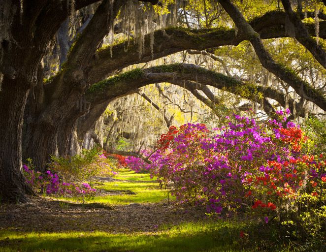 The 50 Best New Honeymoon Spots for 2013!