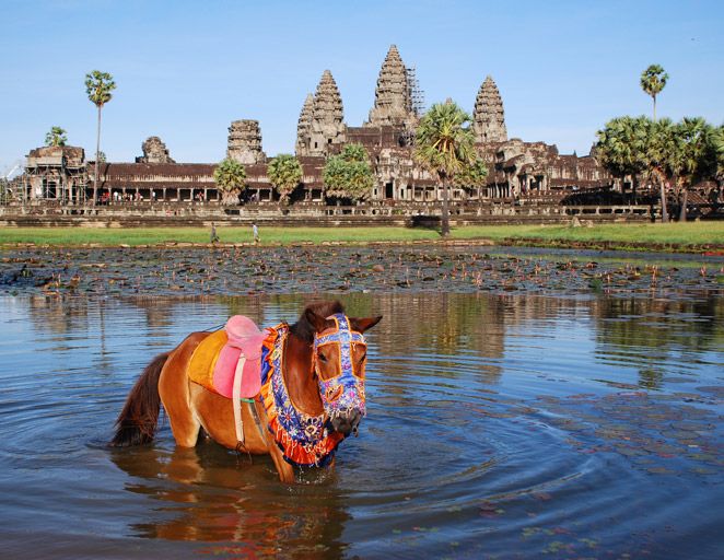 The 50 Best New Honeymoon Spots for 2013!