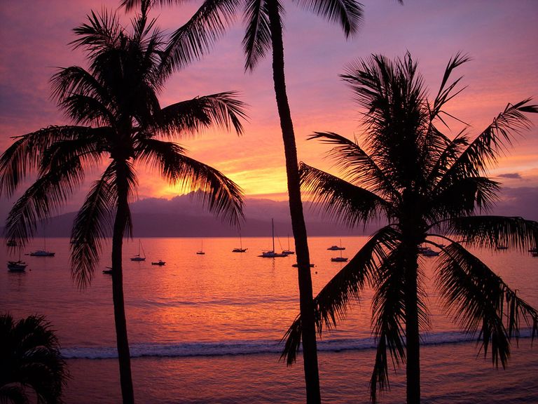 The Hawaiian Getaway You Never Knew You Needed