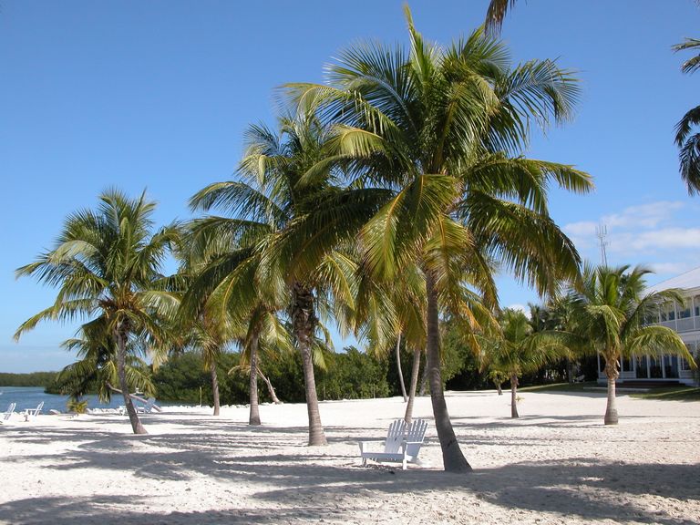 The Top 50 Destination Wedding Spots