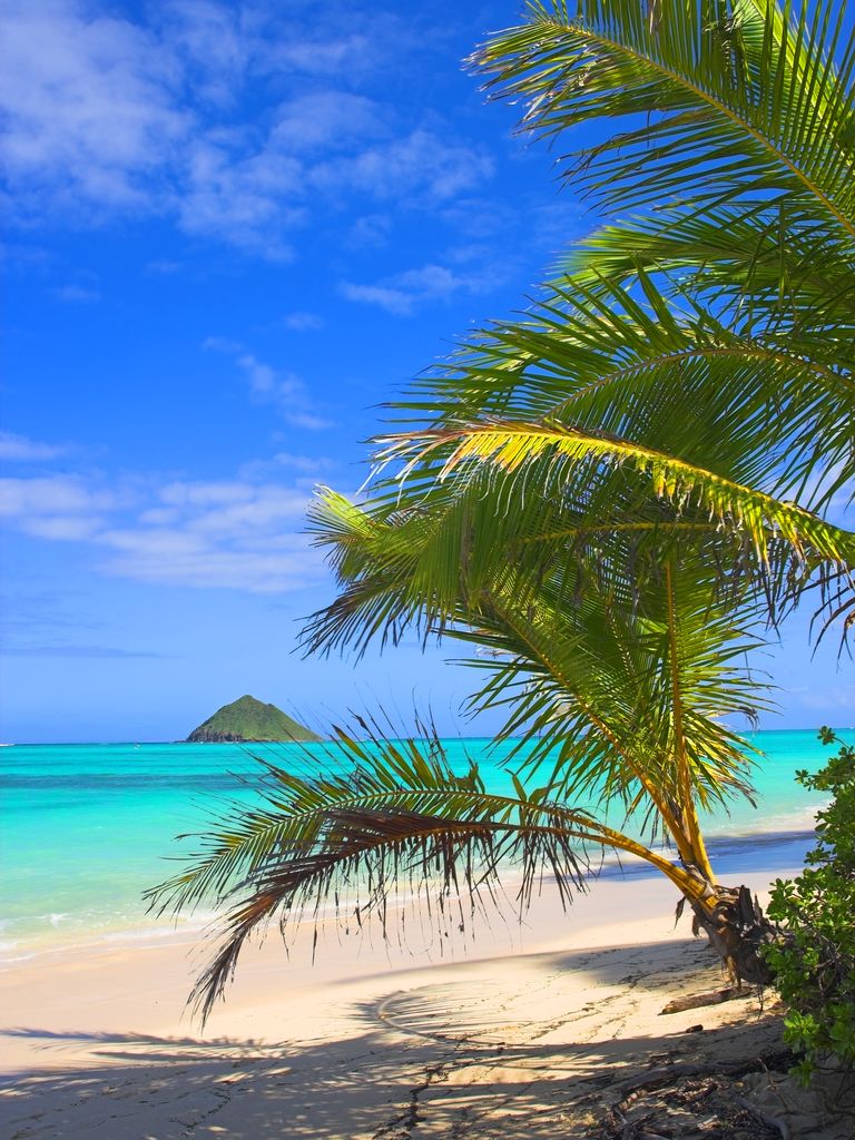 The Top 50 Destination Wedding Spots