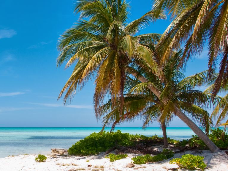 The Top 50 Destination Wedding Spots