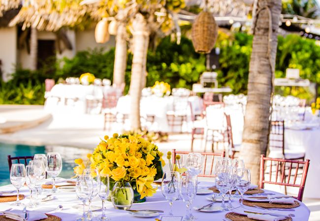 The Most Beautiful Trash The Dress Photos We’ve Ever Seen