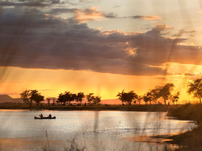 5 Insanely Gorgeous Safaris—and How to Choose the Perfect One